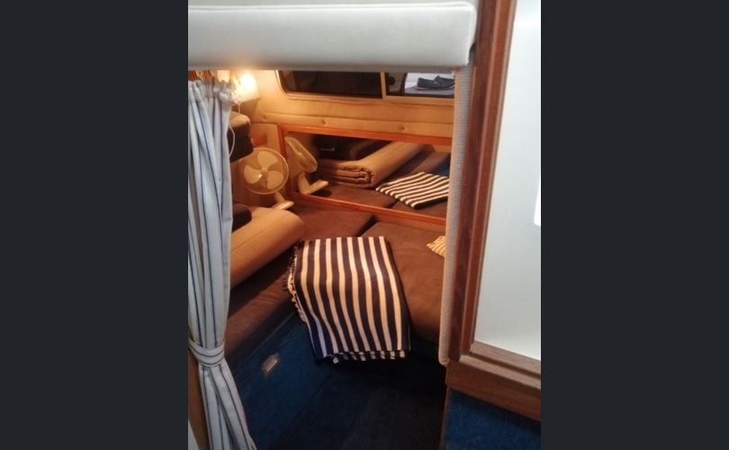 Sea Ray Sundancer 290-kuva-13